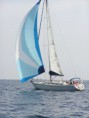 /album/galerie-photos/spi2-jpg/